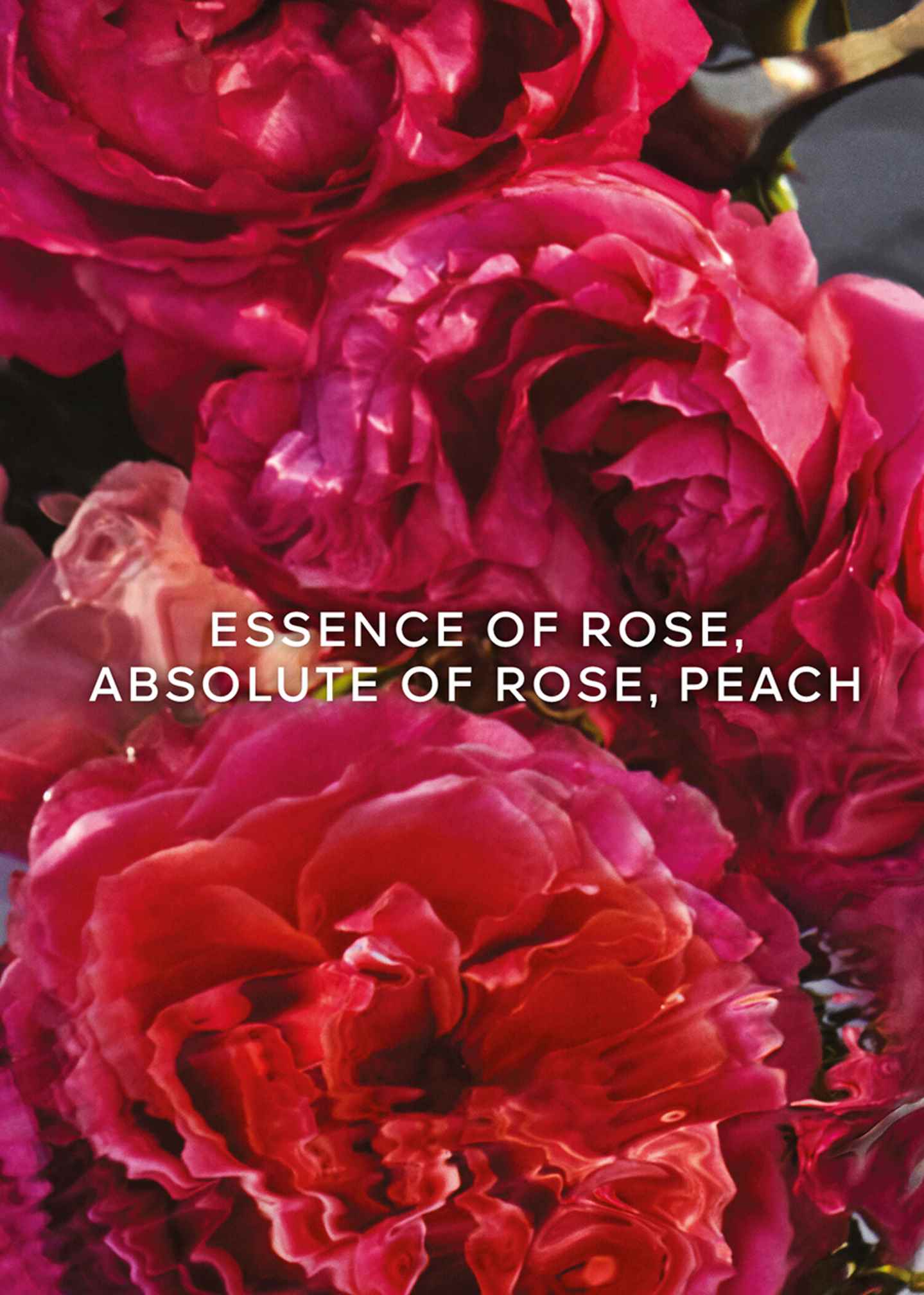 Parfum «Aqua Allegoria Rosa Rossa Forte Refill»