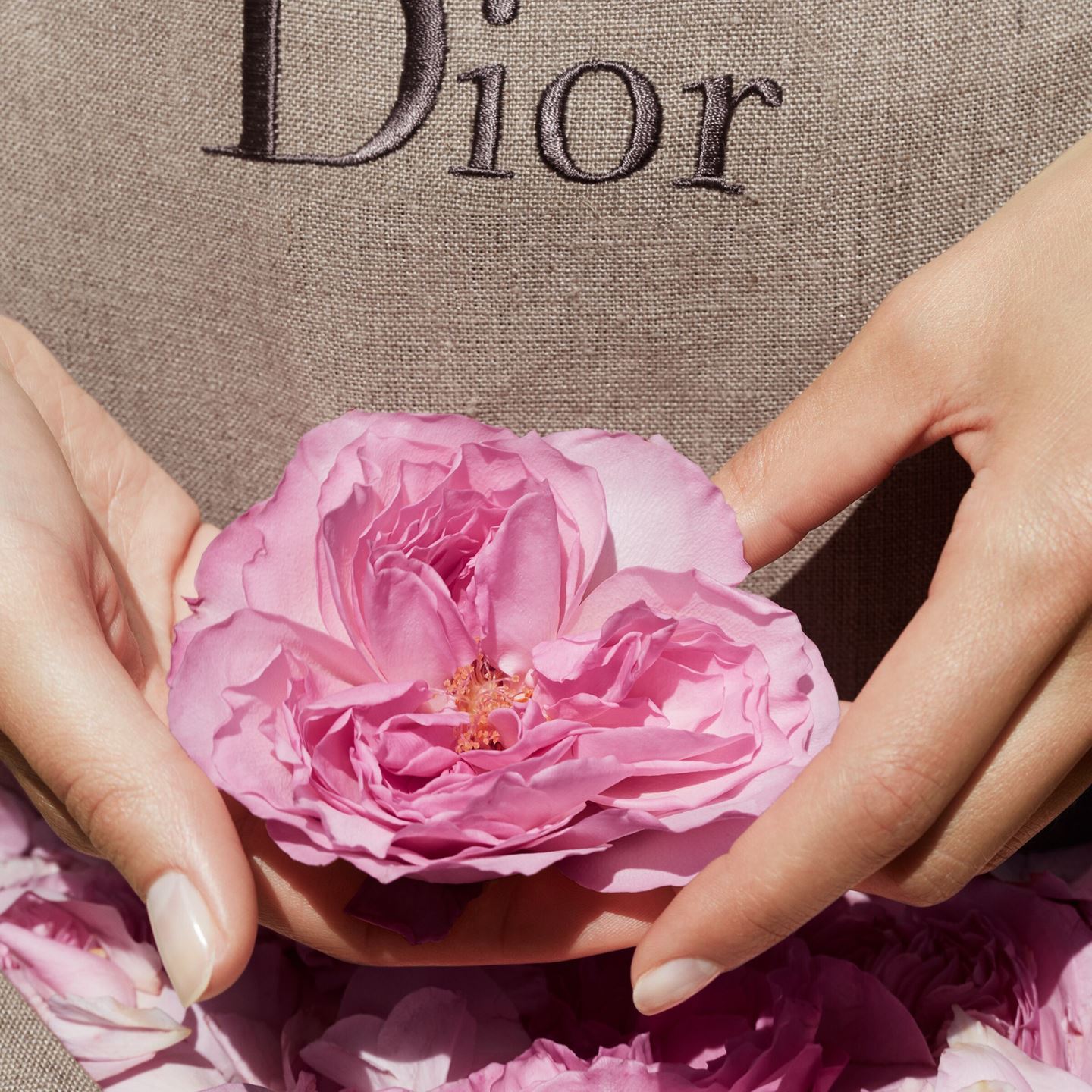 Parfum «Miss Dior Rose N'Roses»