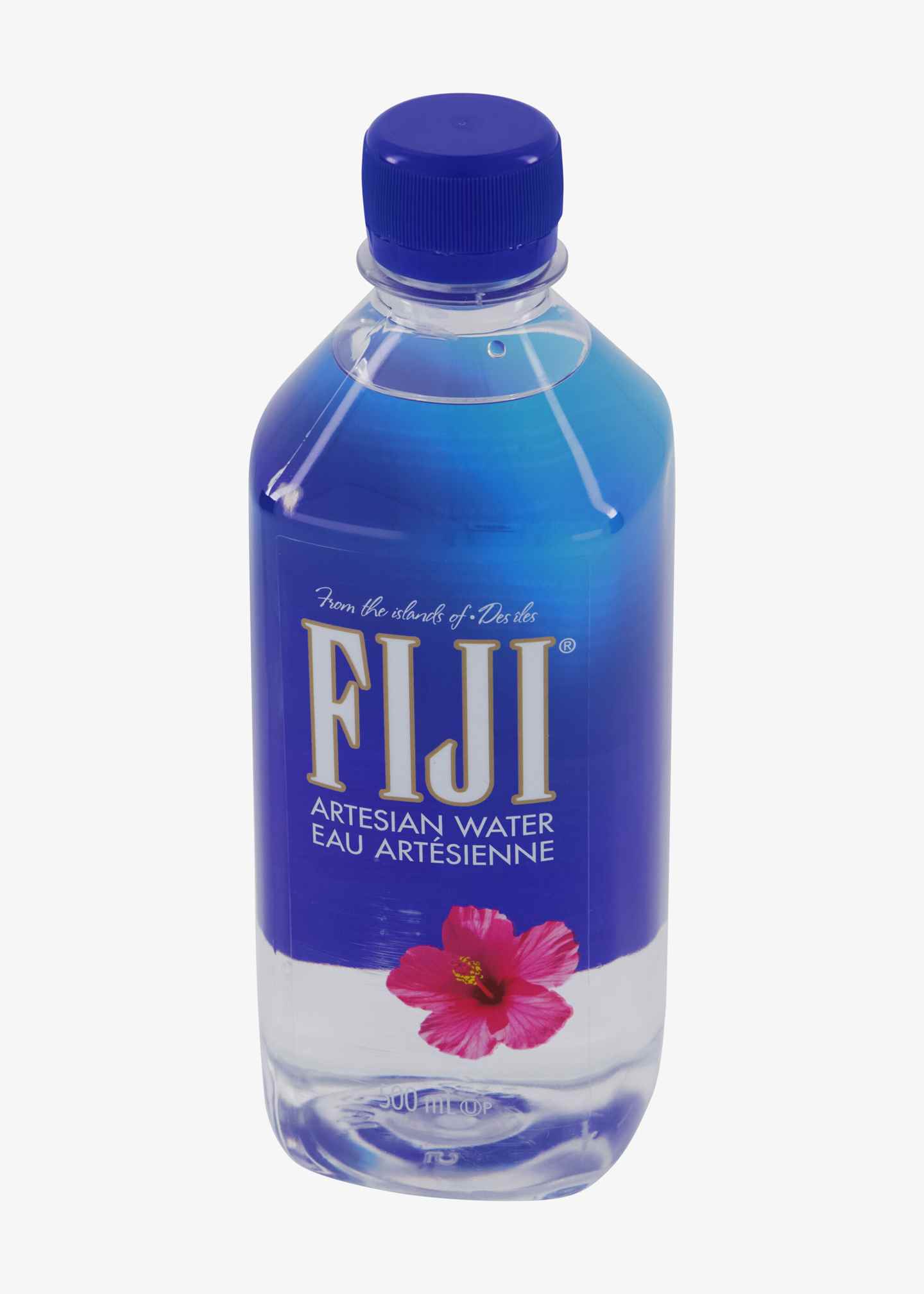 Fiji Wasser 500ml