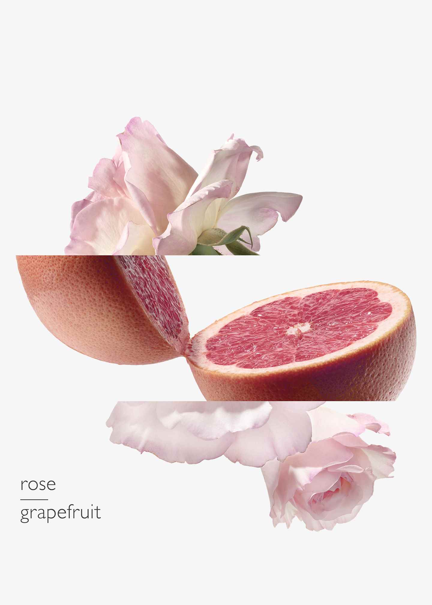 Parfum «Eau de pamplemousse rose, Eau de Cologne»