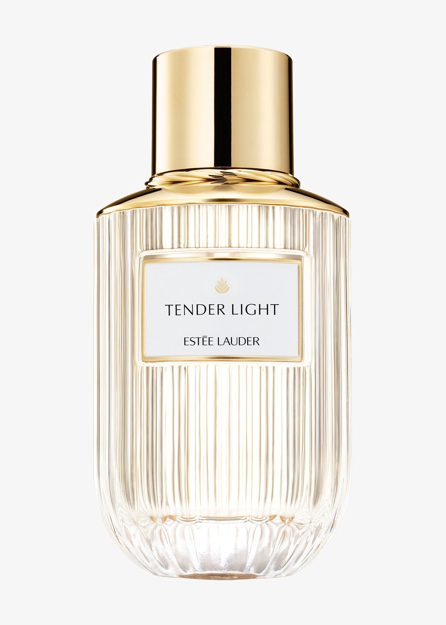 Parfum «Luxury Fragrance Tender Light»