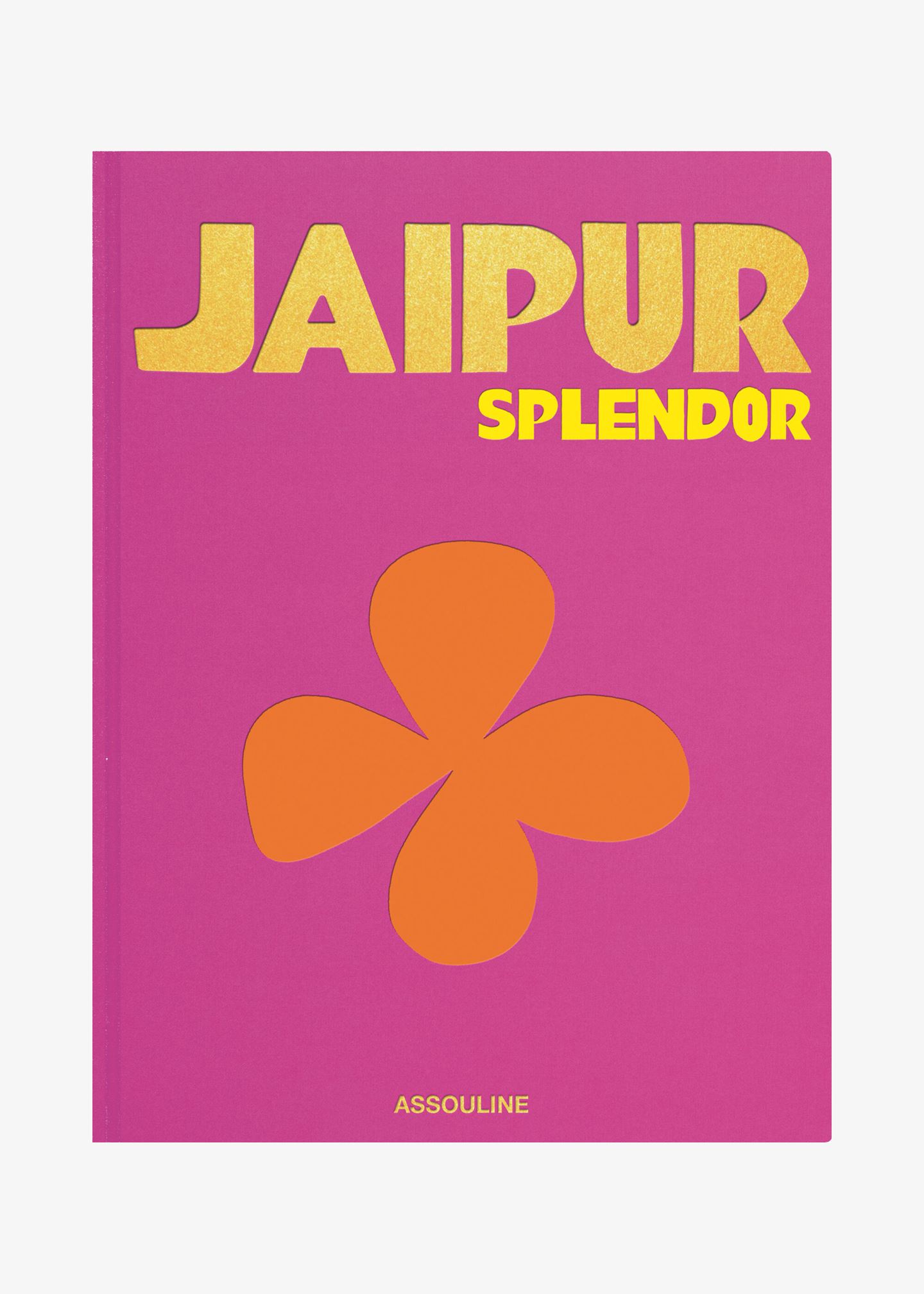 Buch «Jaipur Splendor»