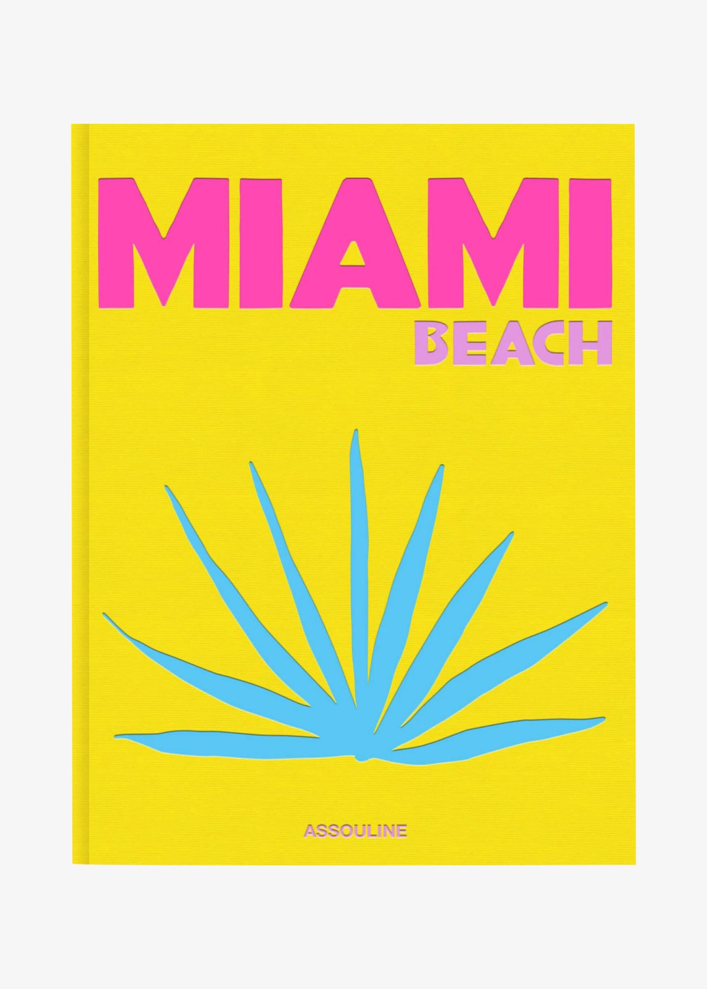 Buch «Miami Beach»
